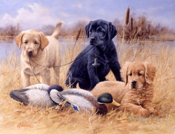 Dog Painting - am279D13 animal dogs